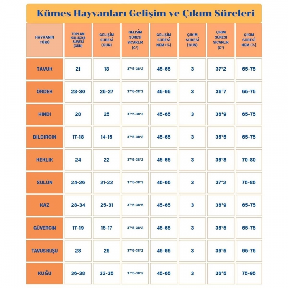 120 Yumurta Kapasiteli Tam Otomatik Kuluçka Makinesi - Civciv, Kaz, Hindi Ve Ördek Yetiştiriciliği Epo-w120 Yedek Motorlu 120 Yumurta Kapasiteli Tam Otomatik Kuluçka Makinesi - Civciv, Kaz, Hindi Ve Ördek Yetiştiriciliği Epo-w120 Yedek Motorlu