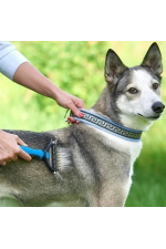 Plastik Saplı Metal Kedi Köpek Bakım Kıtık Tüy Topak Açıcı Tarak Plastik Saplı Metal Kedi Köpek Bakım Kıtık Tüy Topak Açıcı Tarak