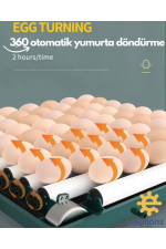 Epo-130my Kuluçka Makinesi | 130 Yumurtalık, Yedek Motorlu İncubator Epo-130my Kuluçka Makinesi | 130 Yumurtalık, Yedek Motorlu İncubator