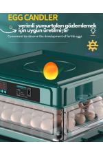 Kuluçka Makinesi Wifi Kamera Hediyeli 130 Lu Tam Otomatik Yedek Motorlu Kuluçka Makinesi Wifi Kamera Hediyeli 130 Lu Tam Otomatik Yedek Motorlu