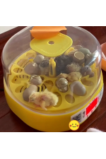 Mini Otomatik Ev Tipi Kuluçka: Papağan Bıldırcın Kuluçka Makinesi 18li Yumurtalı Mx-18 Mini Otomatik Ev Tipi Kuluçka: Papağan Bıldırcın Kuluçka Makinesi 18li Yumurtalı Mx-18
